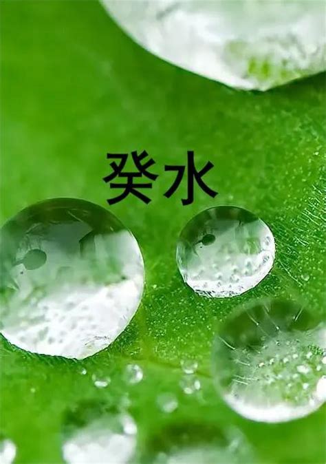 日主天干為水|日主天干为水是什么意思 五行缺什么